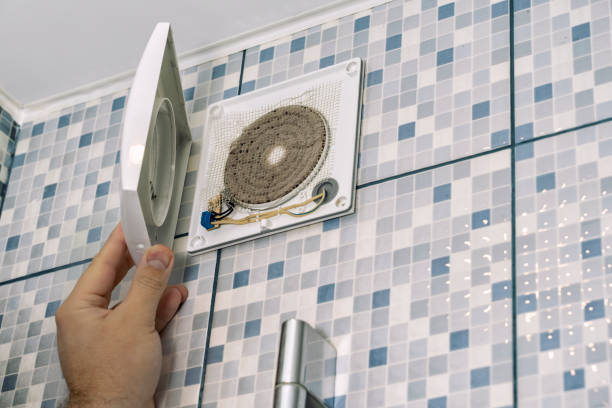 Best Local Air Duct Cleaning Services  in Granvle, IL