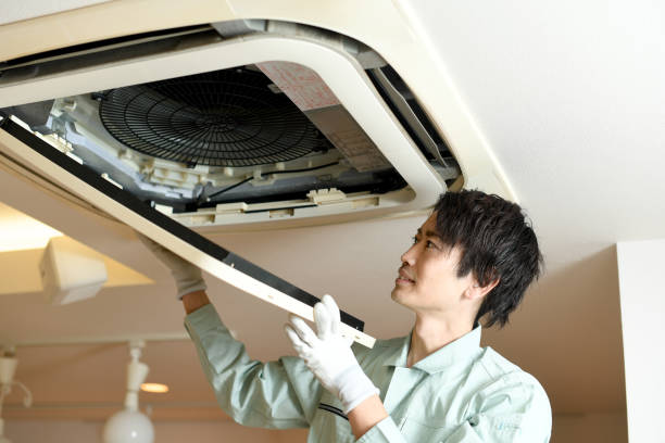 Best Affordable Air Duct Cleaning  in Granvle, IL